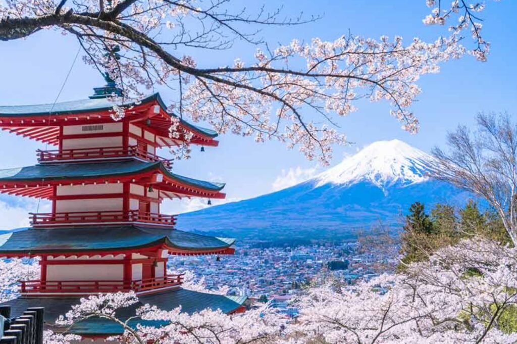계절별 어디로 해외 여행 일본 벚꽃